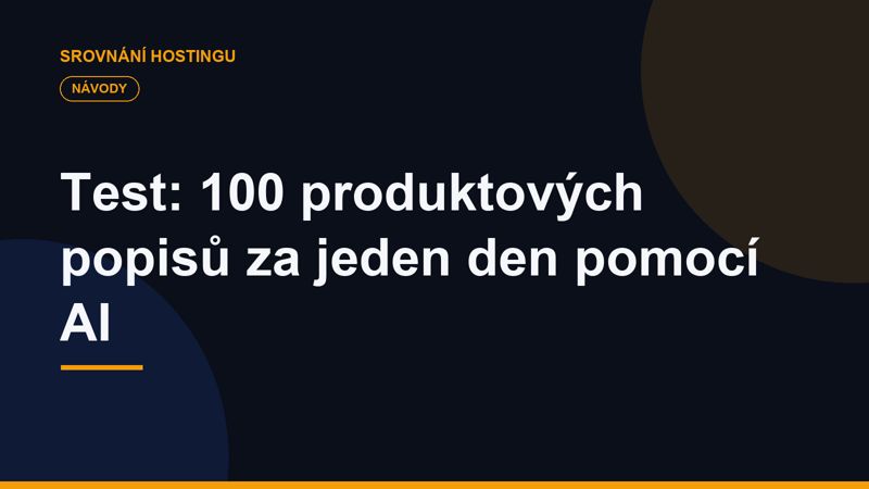 Test: 100 produktových popisů za jeden den pomocí AI